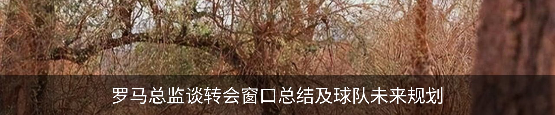 资讯动态